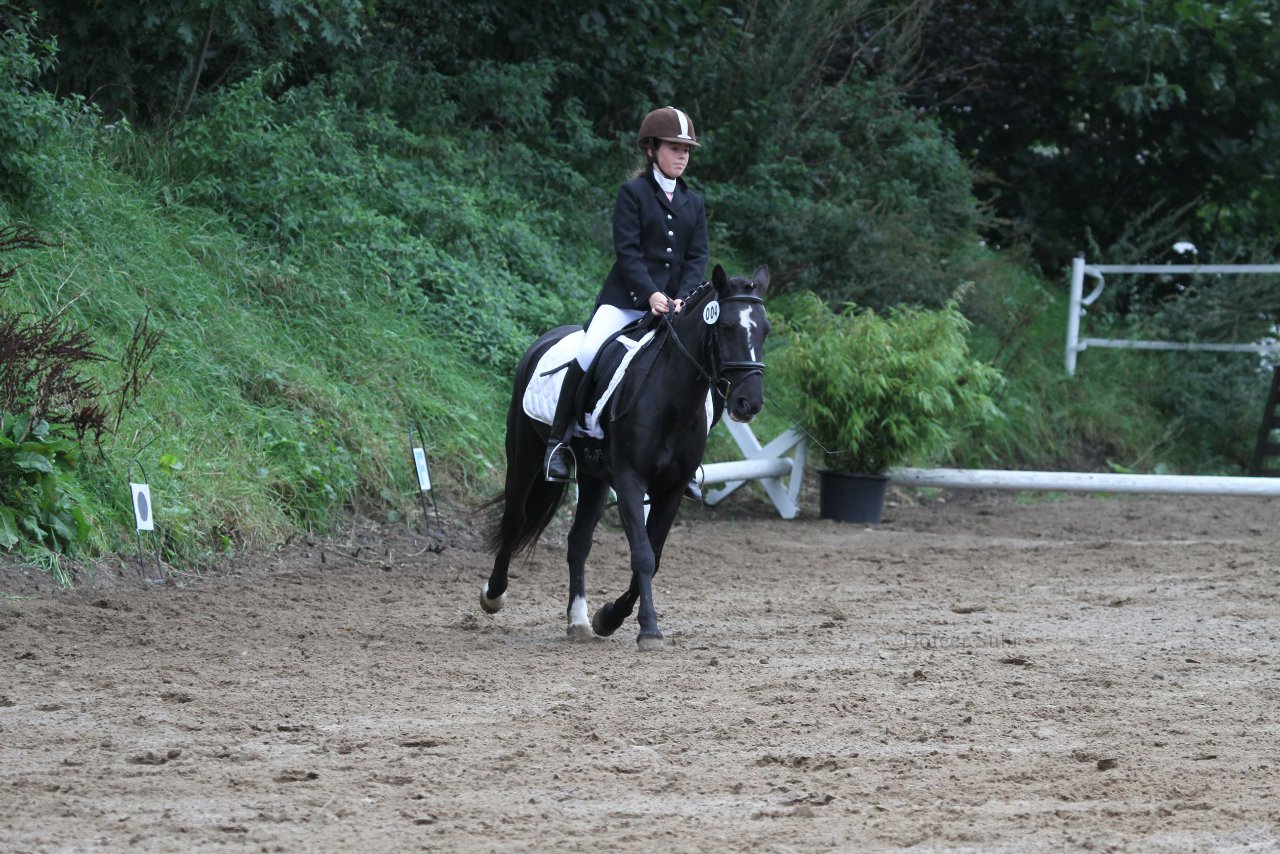 Bild 315 - WBO-Turnier am 18.9.11
